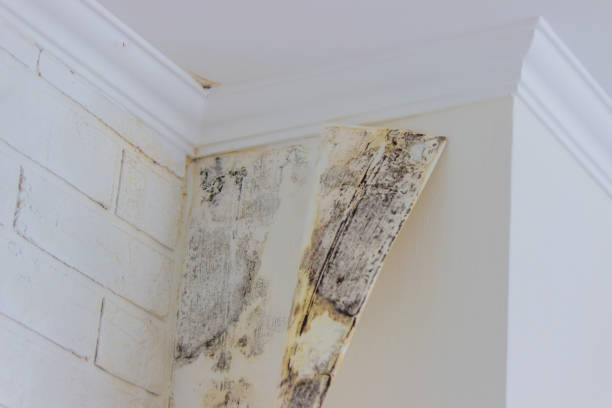 Water damage restoration process in North Arlington, NJ